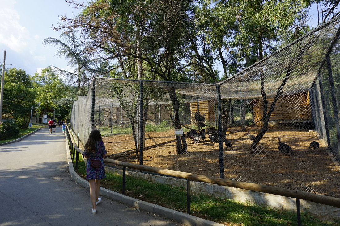Riqualificazione dello Zoo di Stara Zagora