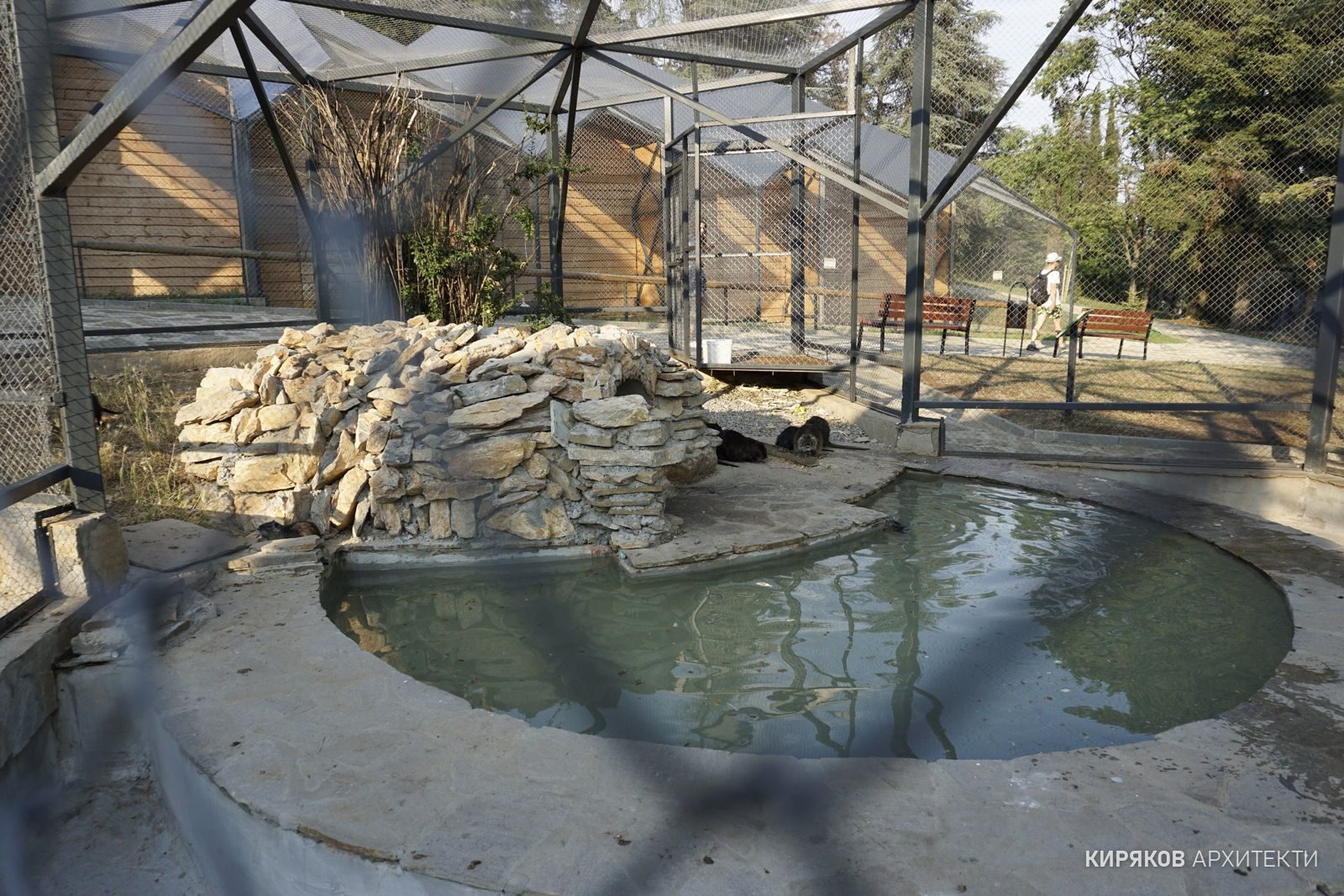 Zoo – Nutrias