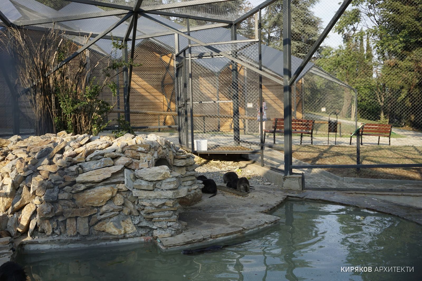 Zoo – Nutrias
